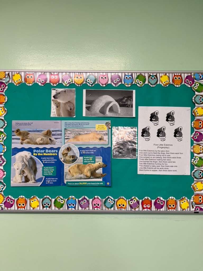 A classroom bulletin board about polar bears, with photographs, facts, and a counting rhyme.